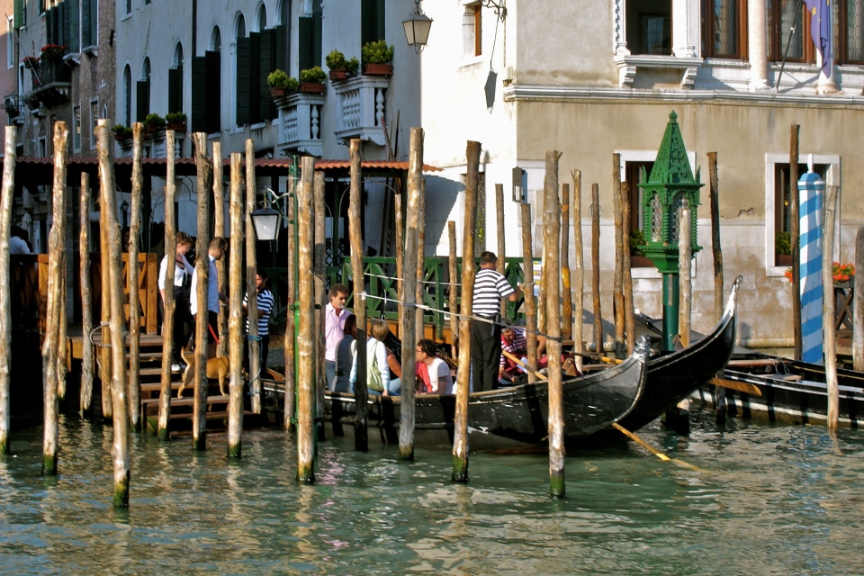 Wooden Poles in Venice, Italy